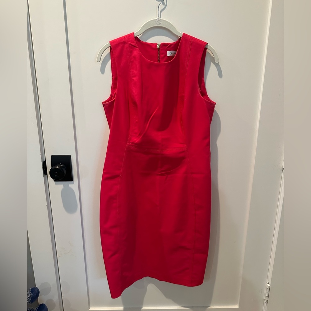 Calvin Klein Sleeveless Sheath Dress | Size 10 | Berry with Gold zipper